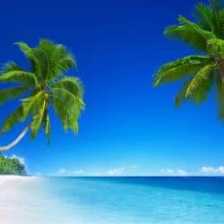 Schmidt Puzzle Ratgeber Vergleich