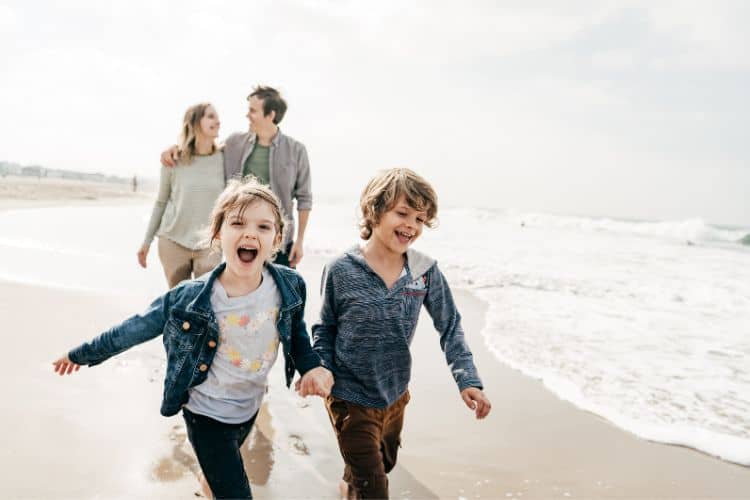 Schweine-Würfeln Schweinerei Spiel Ratgeber Reisende Schweine-Würfeln Schweinerei Spiel Ratgeber Reisende